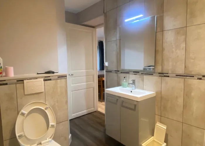 Апартаменты Confortable Meuble Classe 3 Etoiles Шатель-Гийон